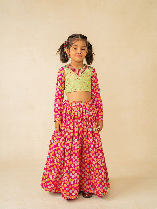 Girls Full Sleeve Hand Embroidered Blouse and Lehenga (Set of 2)