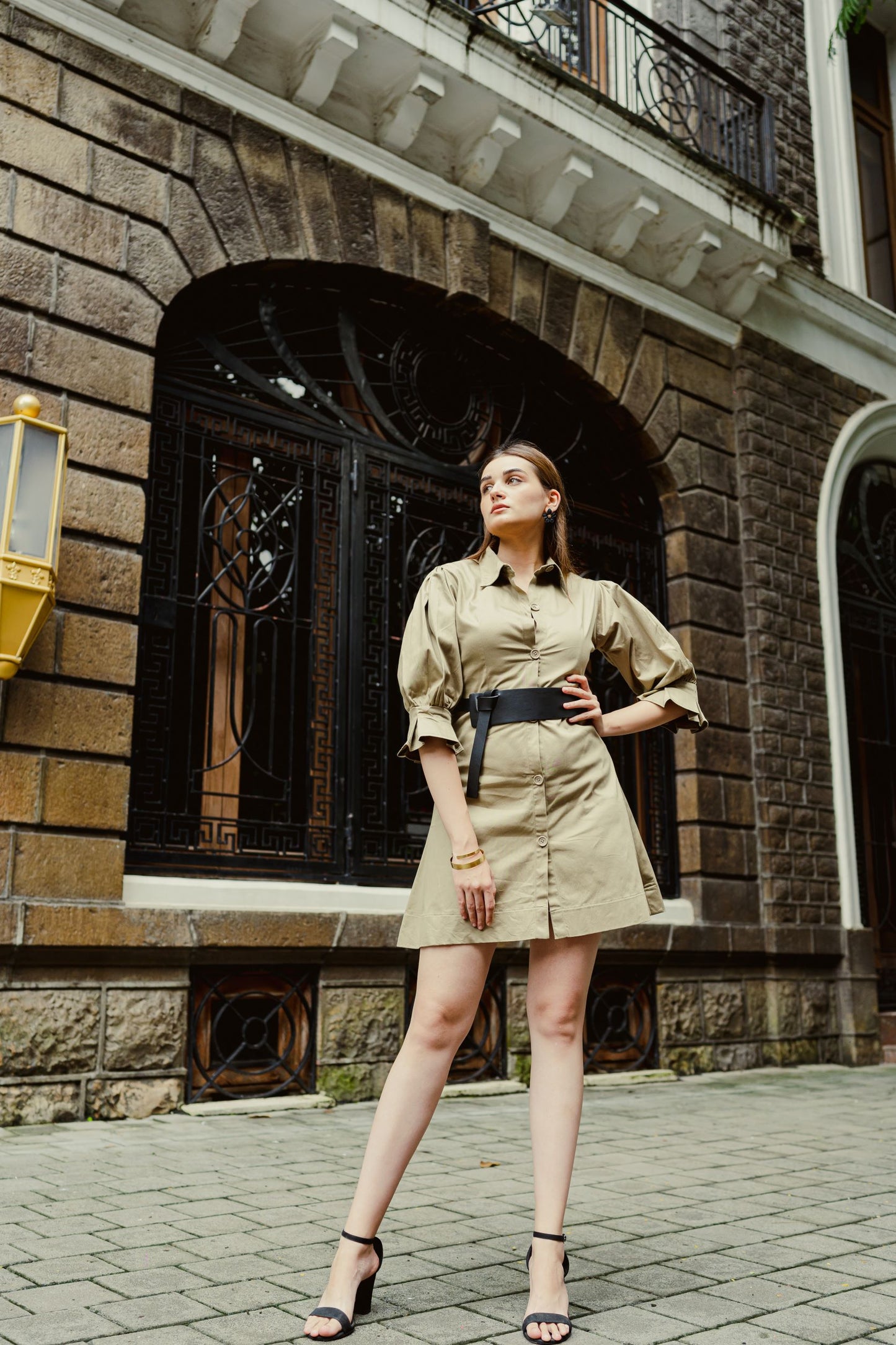 Trout Twill Dress