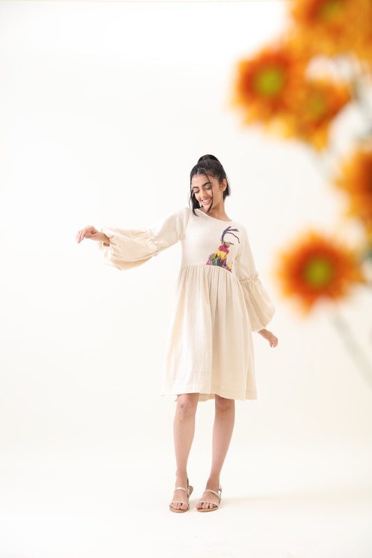 Eden Kala Cotton Embroidered Dress
