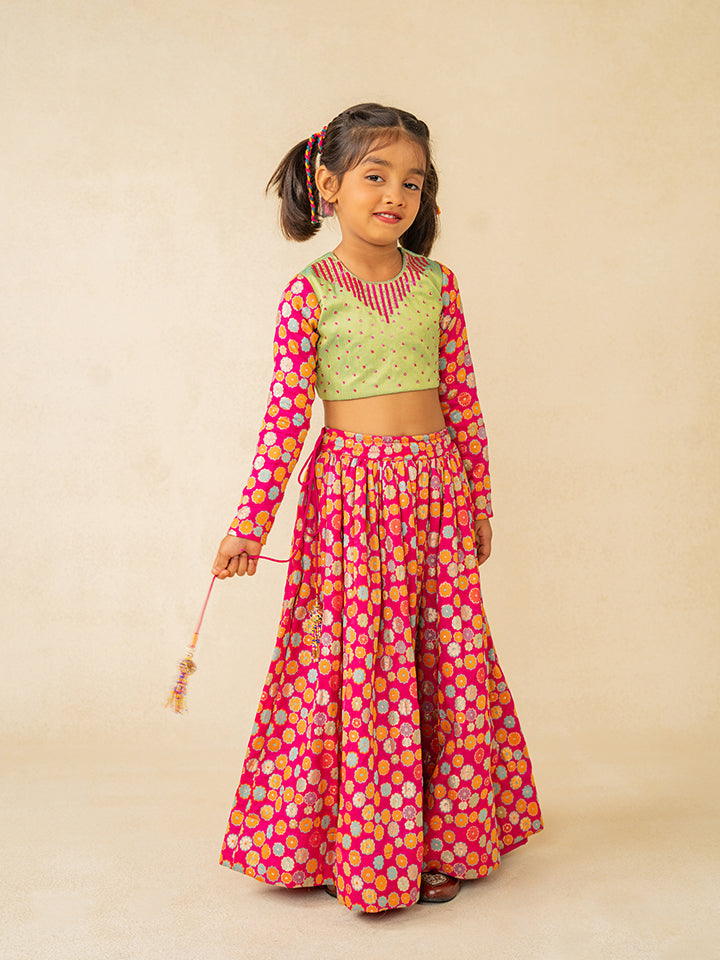 Girls Full Sleeve Hand Embroidered Blouse and Lehenga (Set of 2)