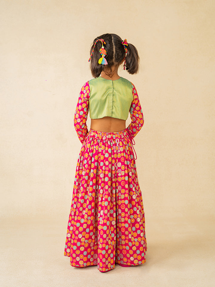 Girls Full Sleeve Hand Embroidered Blouse and Lehenga (Set of 2)