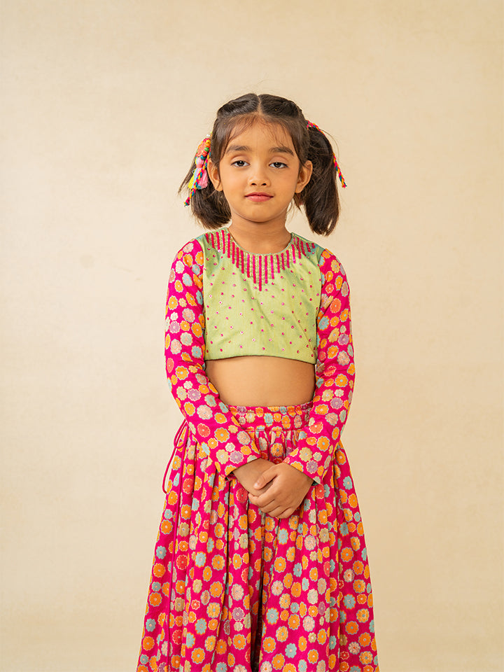 Girls Full Sleeve Hand Embroidered Blouse and Lehenga (Set of 2)